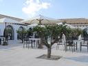 Finca en venta en Navalmoral de la Mata