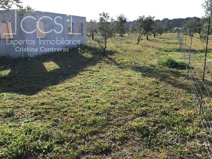 Casa rústica en venta en Almonte zona Paraje Los Huertecillos