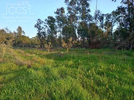 Casa rústica en venta en Almonte zona La Marmoleja