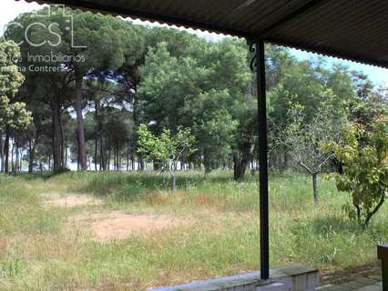 Casa rústica en venta en Almonte zona Paraje el Porretal rebajada