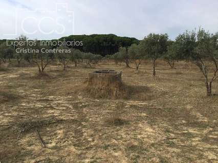 Casa rústica en venta en Almonte zona Los Reyes