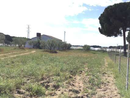 Casa rústica en venta en Almonte zona Montehigo