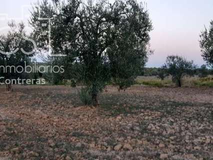 Parcela en venta en Almonte zona Pernadas Campofrío rebajada