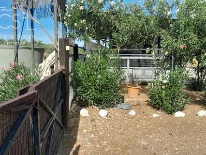 Casa rústica en alquiler en Almonte zona Paraje Ballestares