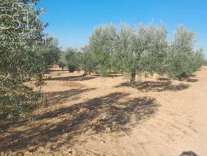 Parcela en venta en Almonte zona Dehesa Del Turmal