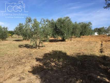 Casa rústica en venta en Almonte zona Paraje Los Huertecillos