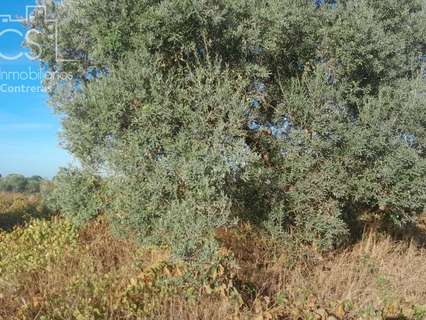 Parcela en venta en Almonte zona La Isleta