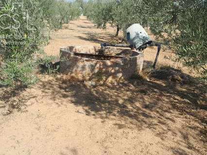 Parcela en venta en Almonte zona Los Serranos