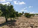 Casa rústica en venta en Almonte zona Los Serranos