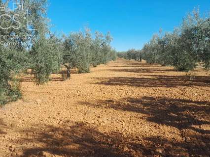 Parcela en venta en Almonte zona Raigal