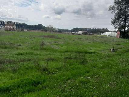 Parcela en venta en Almonte zona Paraje el Porretal