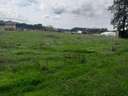 Parcela en venta en Almonte zona Paraje el Porretal