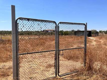 Parcela en venta en Almonte zona Dehesa Del Turmal