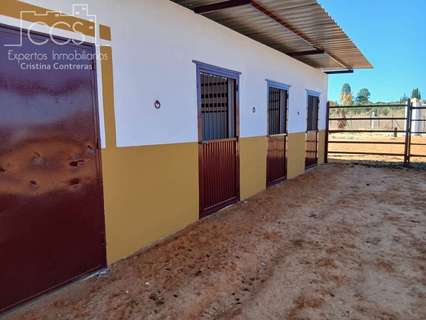 Parcela en venta en Almonte zona Paraje la Angorrilla