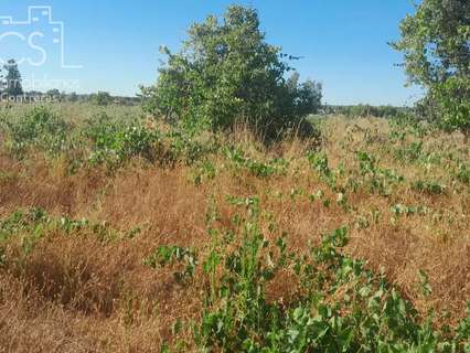 Parcela en venta en Almonte zona La Isleta