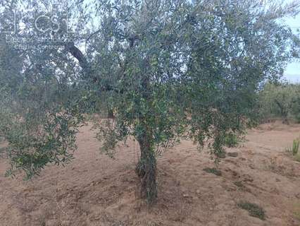 Parcela en venta en Almonte zona Dehesa Del Turmal