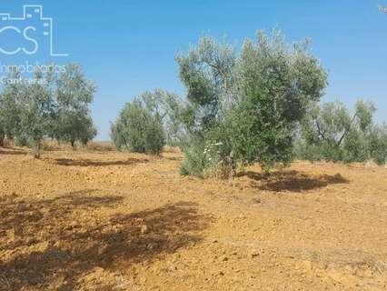 Parcela en venta en Almonte zona La Carpintera