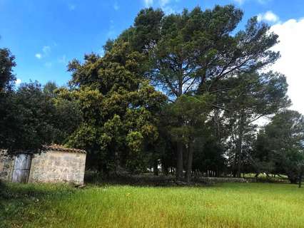 Casa rústica en venta en Selva Caimari