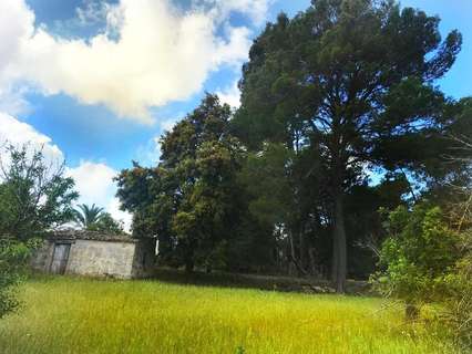 Parcela rústica en venta en Selva zona Caimari