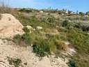 Parcela urbana en venta en Elche/Elx