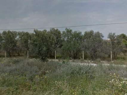 Parcela rústica en venta en Mutxamel