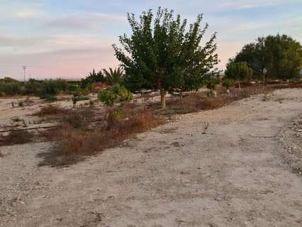 Parcela rústica en venta en Abanilla