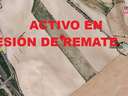 Parcela rústica en venta en Villena