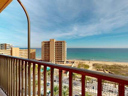 Apartamento en alquiler en Elche/Elx zona Los Arenales del Sol