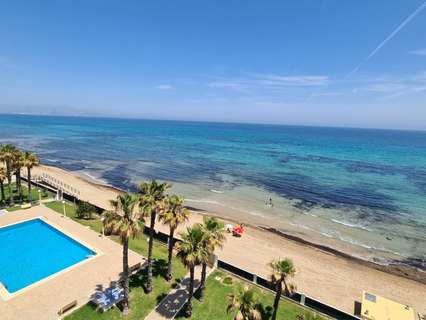 Apartamento en alquiler en Elche/Elx zona Los Arenales del Sol