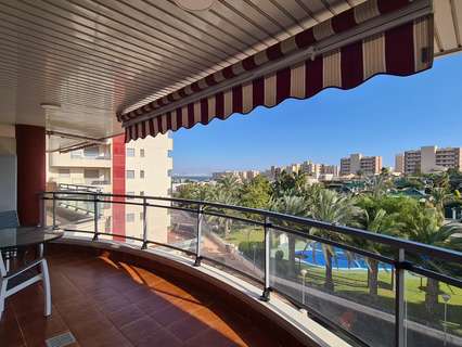 Apartamento en alquiler en Elche/Elx zona Los Arenales del Sol