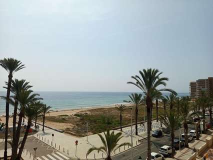Apartamento en alquiler en Elche/Elx zona Los Arenales del Sol