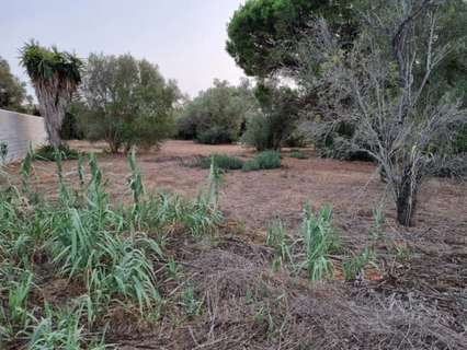 Parcela rústica en venta en Chiclana de la Frontera