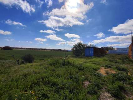 Parcela rústica en venta en Chiclana de la Frontera