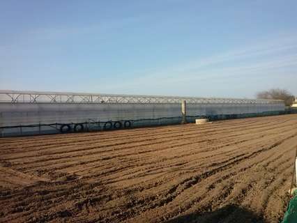 Parcela rústica en venta en Chipiona rebajada