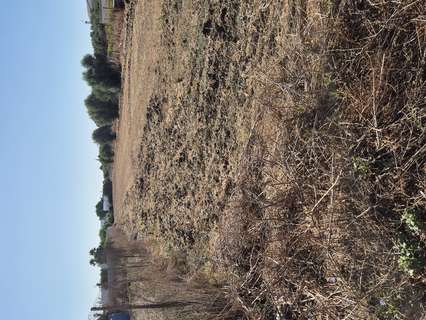Parcela rústica en venta en Vejer de la Frontera zona El Palmar