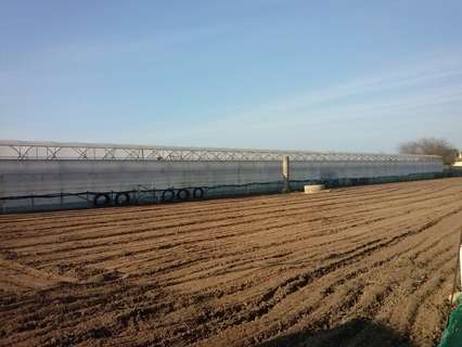 Parcela rústica en venta en Chipiona