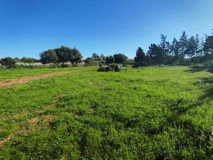 Parcela rústica en venta en Chiclana de la Frontera