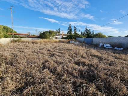 Parcela rústica en venta en Chiclana de la Frontera