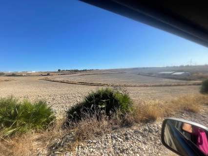 Parcela rústica en venta en Chiclana de la Frontera