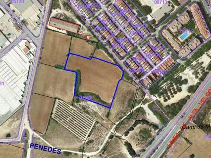 Parcela rústica en venta en Vilafranca del Penedès rebajada