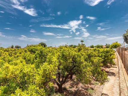 Parcela rústica en venta en Villarreal/Vila-real