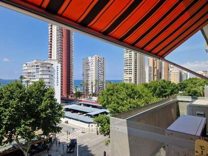 Estudio en venta en Benidorm Playa Levante rebajado