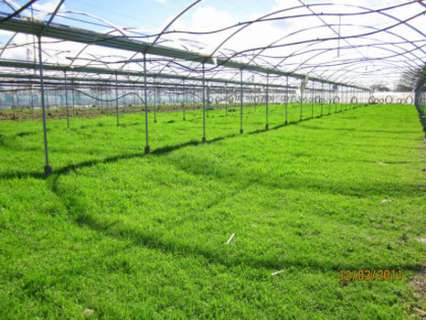 Casa rústica en venta en Chipiona