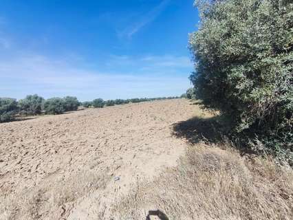 Parcela rústica en venta en Illescas