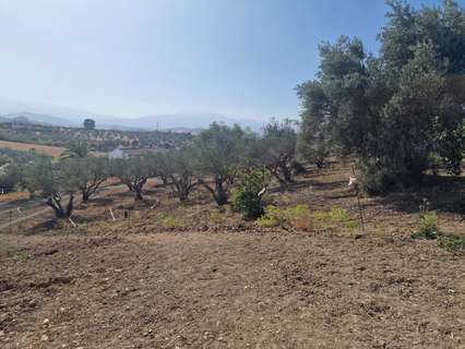 Parcela rústica en venta en Coín