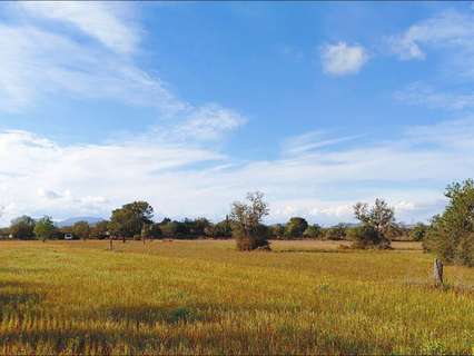 Parcela rústica en venta en Campos