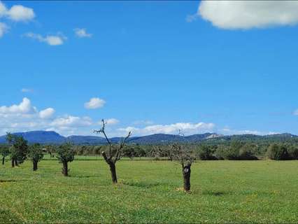 Parcela rústica en venta en Campos