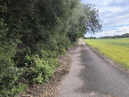 Parcela rústica en venta en Muro