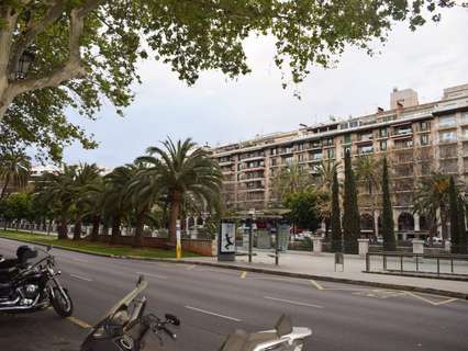 Local comercial en venta en Palma de Mallorca