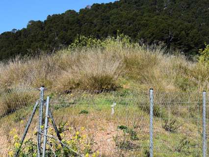 Parcela rústica en venta en Alaró